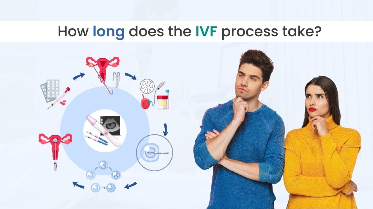 how long does ivf process take