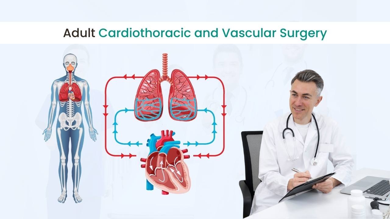 adult cardiothoracic and vascular surgery